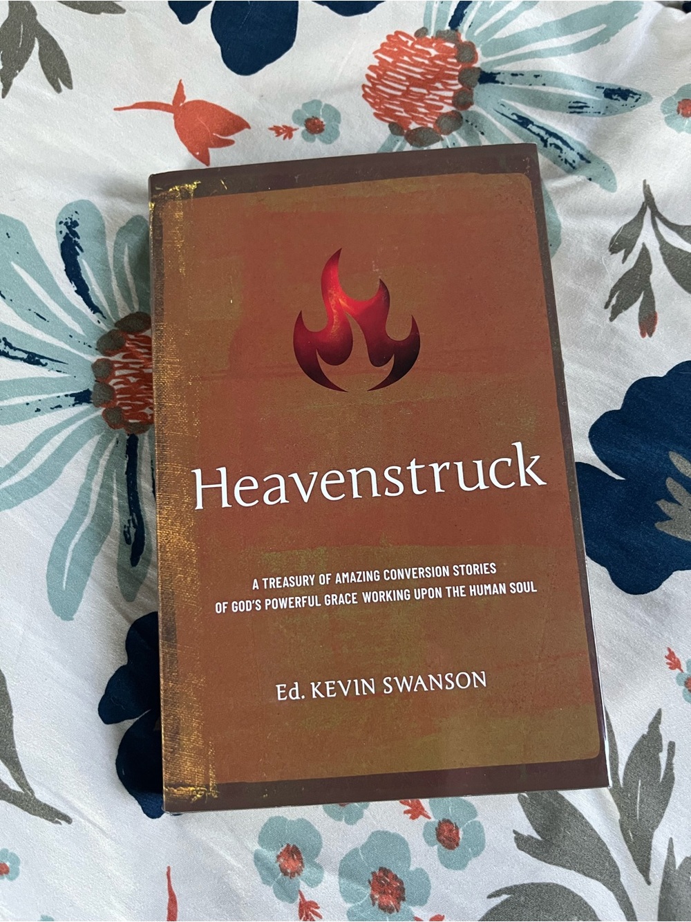 Book Heavenstruck by Kevin Swanson